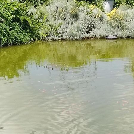 Domaine Le Lanis Chambre D'Hotes Piscine Spa Privatise Sur Reservation Saint-Girons  Zewnętrze zdjęcie