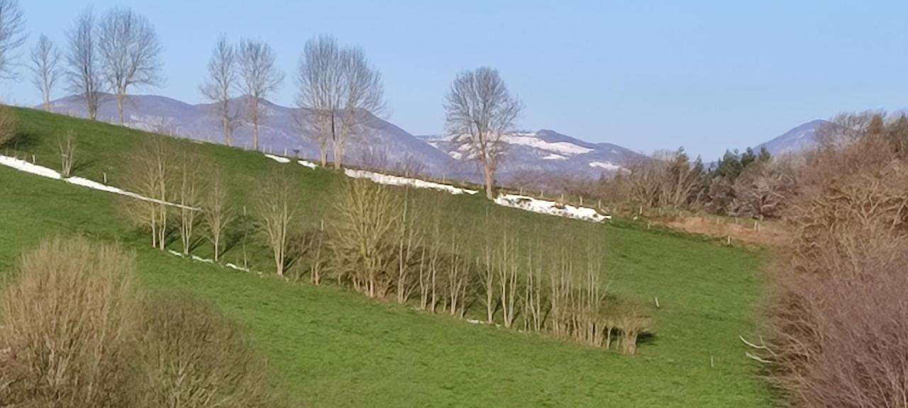 Domaine Le Lanis Chambre D'Hotes Piscine Spa Privatise Sur Reservation Saint-Girons  Zewnętrze zdjęcie