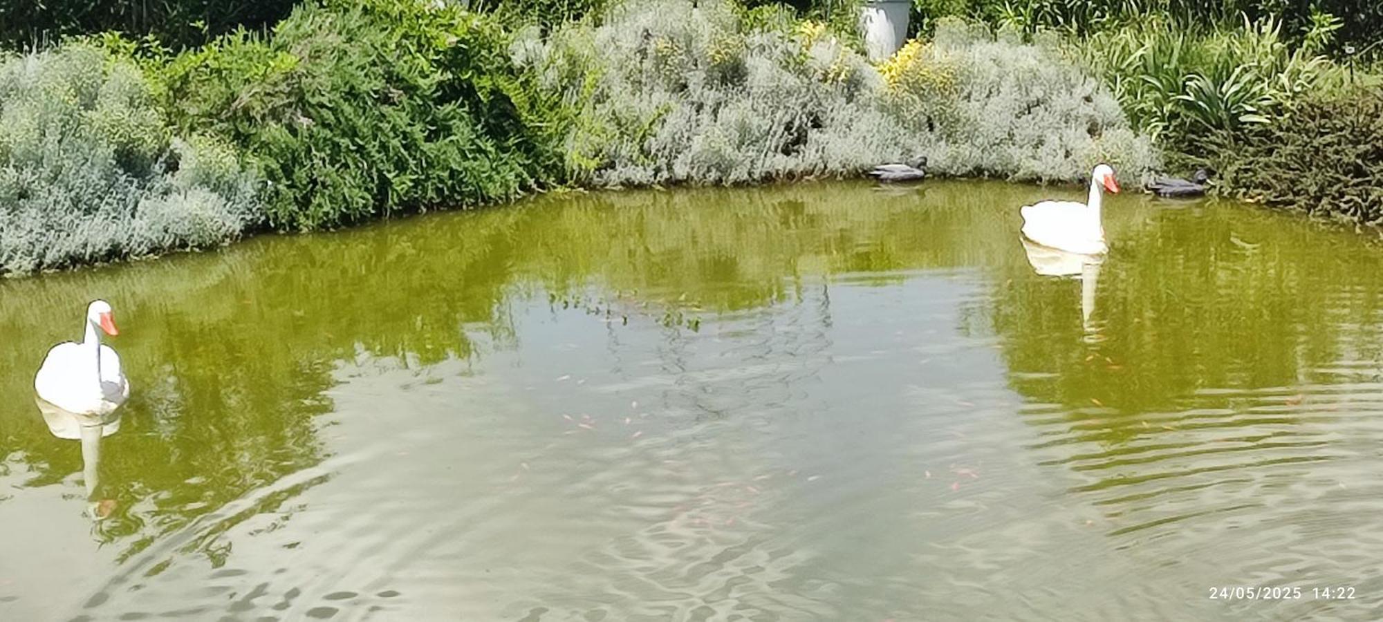 Domaine Le Lanis Chambre D'Hotes Piscine Spa Privatise Sur Reservation Saint-Girons  Zewnętrze zdjęcie